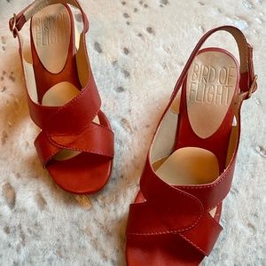 Bird of Flight Anthropologie